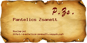 Pantelics Zsanett névjegykártya